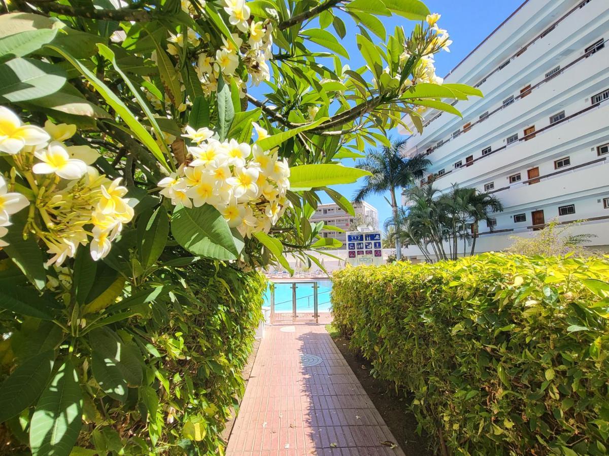 Las Camelias Apartments Playa del Inglés Extérieur photo