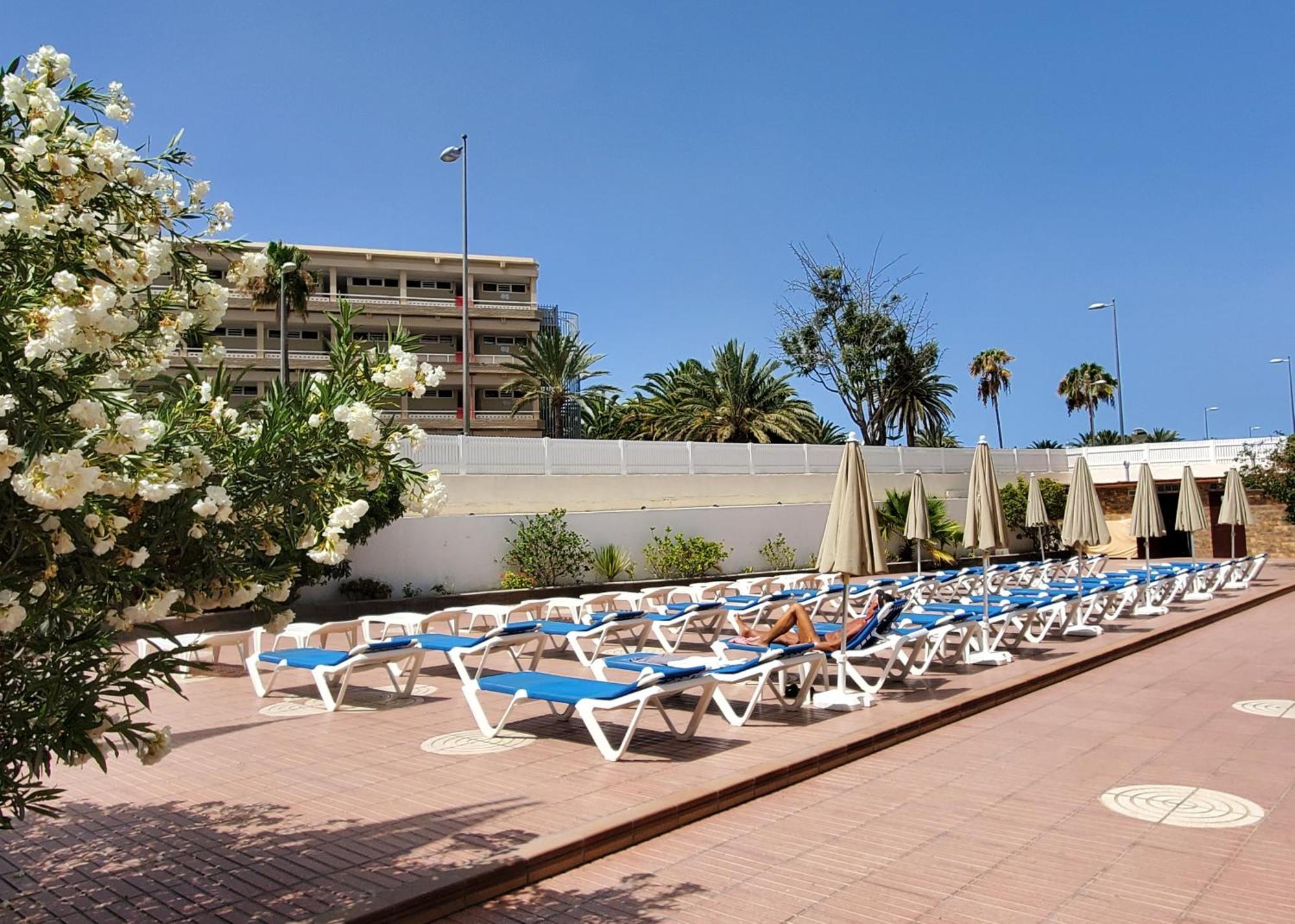 Las Camelias Apartments Playa del Inglés Extérieur photo